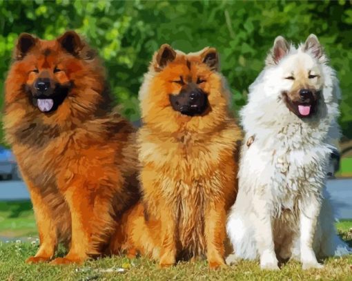 Eurasier Puppies paint by number