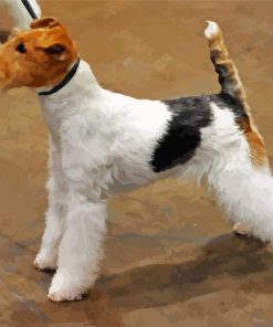 Fox Terrier Dog paint by number