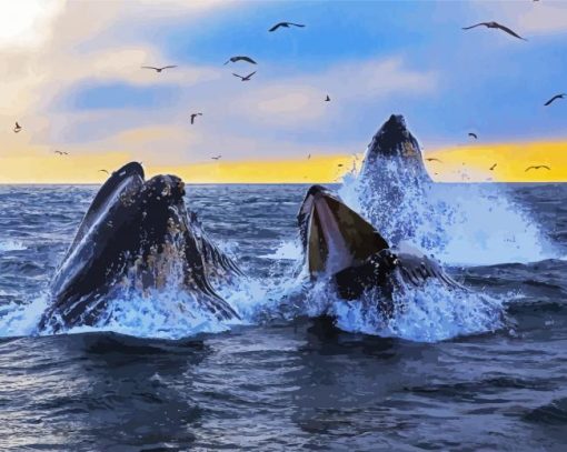 Humpback Whale In The Ocean paint by number