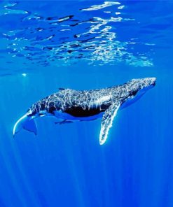 Humpback Whale Underwater paint by number