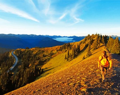 Hurricane Ridge Sunrise paint by number