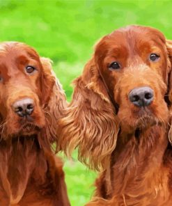 Irish Setter Puppies paint by number