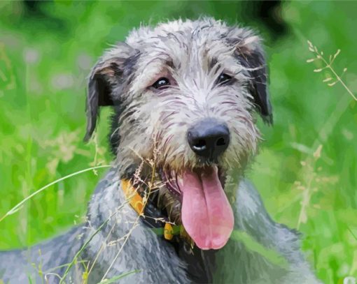 Irish Wolfhound Animal paint by number