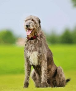 Irish Wolfhound paint by number