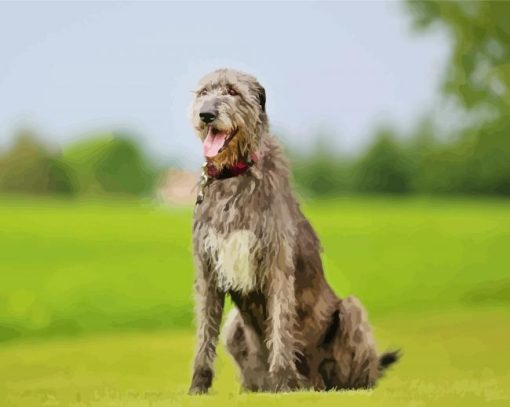 Irish Wolfhound paint by number