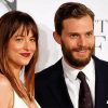 Jamie Dornan And Dakota Johnson paint by number