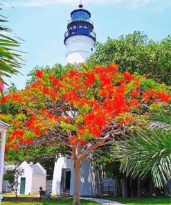 Key West Lighthouse paint by number