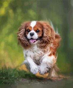 King Charles Cavalier Paint by number