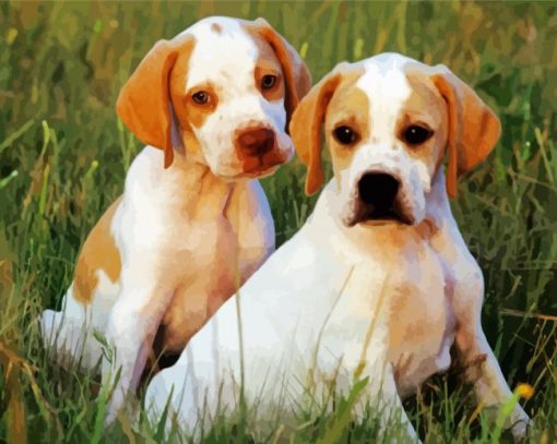 Lemon English Pointer Puppy paint by number