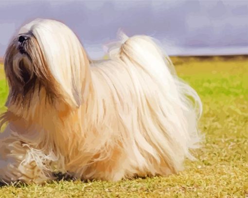 Lhasa Apso Dog paint by number