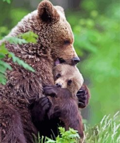 Mama Bear Hugs Her Babies paint by numbers