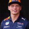 Max Verstappen Smiling paint by number