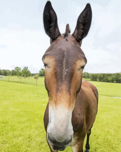 Mule Animal Head paint by number