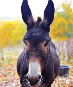 Mule Animal Head Nature paint by number