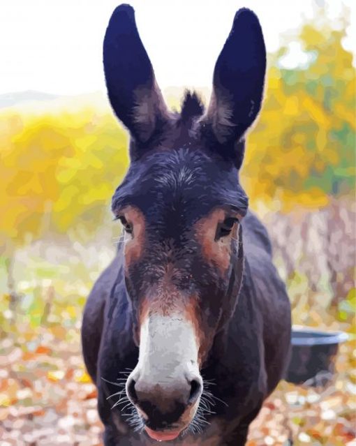 Mule Animal Head Nature paint by number