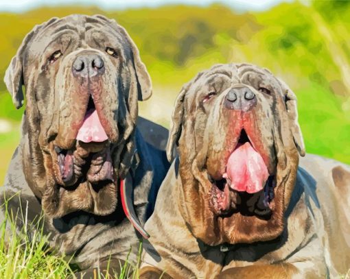 Neapolitan Mastiff Puppies paint by number