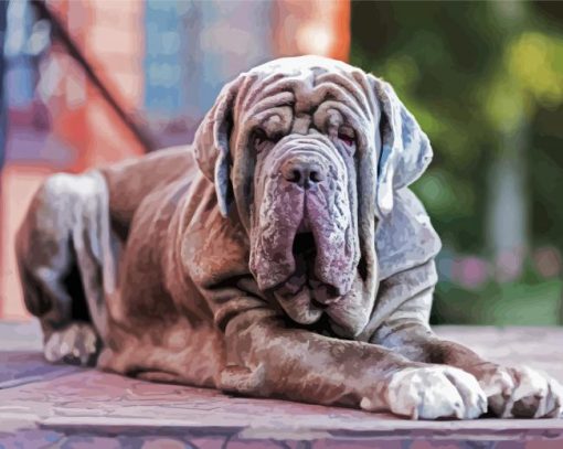 Neapolitan Mastiff Puppy paint by number