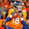 Peyton Manning American Football Player paint by number