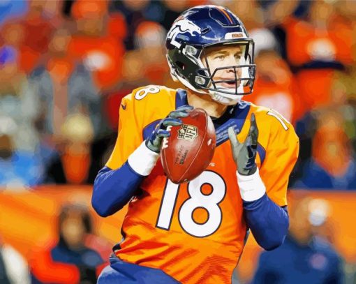 Peyton Manning American Football Player paint by number