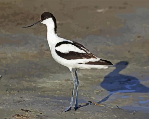 Piet Avocet Bird paint by number