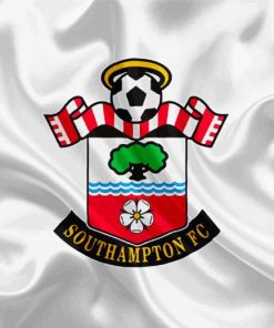 Southampton Football Club paint by number