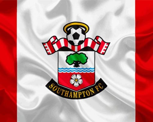 Southampton Football Club paint by number