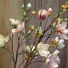 Spring Magnolias paint by numbers