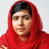 The Activist Malala Yousafzai paint by numbers