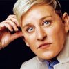 The Comedian Ellen Degeneres paint by number