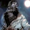 The Wolfman Horror Movie paint by number