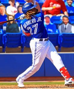 Toronto Blue Jays Baseball paint by number