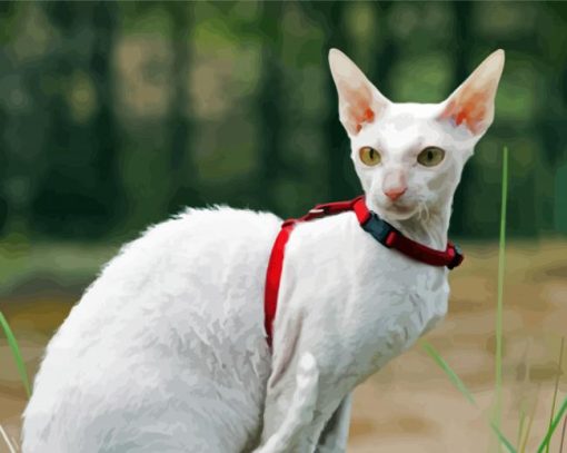 White Cornish Rex Cat White Heron paint by number