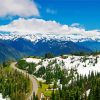 Windy Road Hurricane Ridge paint by number