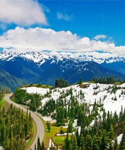 Windy Road Hurricane Ridge paint by number