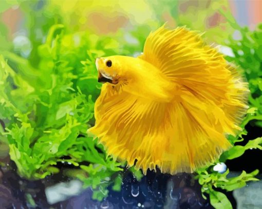 Yellow Betta Fish In Water paint by number