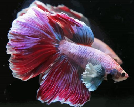 Artistic Purple Betta Fish paint by number