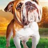 Australian Bulldog Art paint by number