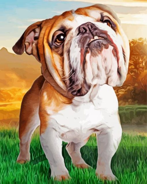 Australian Bulldog Art paint by number