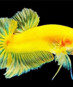 Betta Fish Yellow paint by number