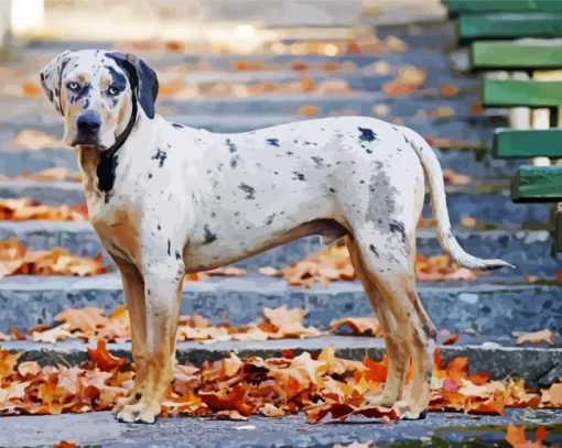 Catahoula Leopard Dog paint by number