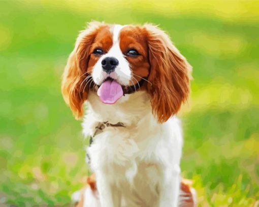 Cavalier King Charles Spaniel paint by number