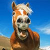 Cute Horse Laughing paint by number