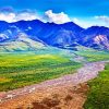 Denali National Park Alaska paint by number