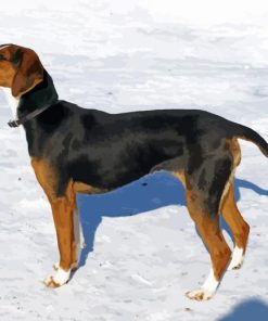 Finnish Hound Dog In Snow paint by number