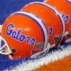 Florida Gators Helmet paint by number