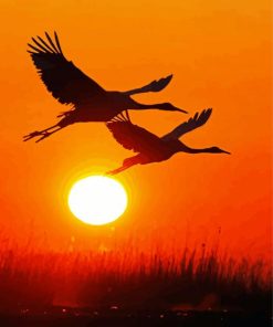 Heron Flying Silhouette paint by number