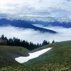 Hurricane Ridge paint by number