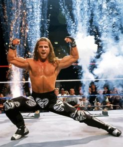 Shawn Michaels Wrestler paint by number