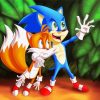 Sonic And Tails Art paint by number