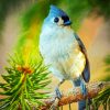 Tufted Titmouse On Branch paint by number